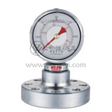 Flange seismic pressure gauge